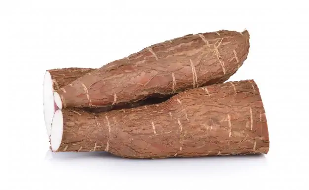 Le Manioc