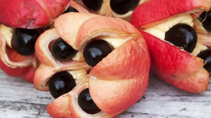 Fruits d'ackee